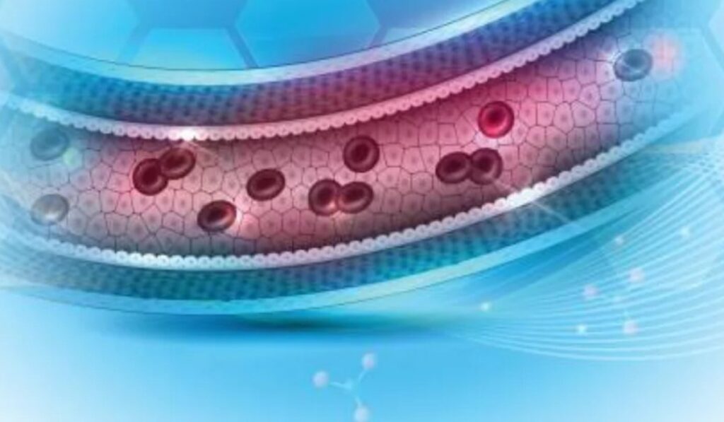 tinyurl.com/lkmschromebookcheck