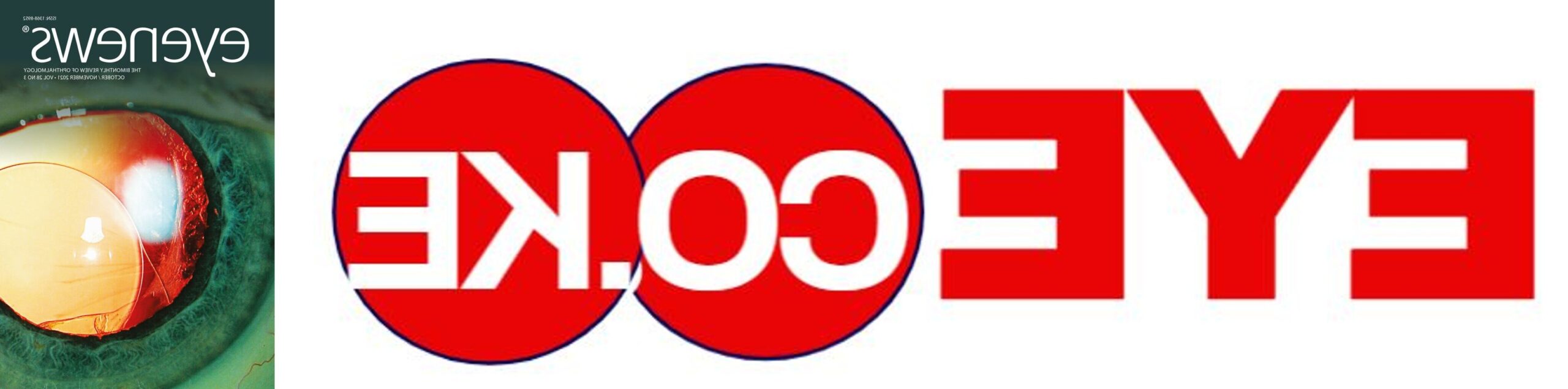 www eyexcon.com Our Team of Experts