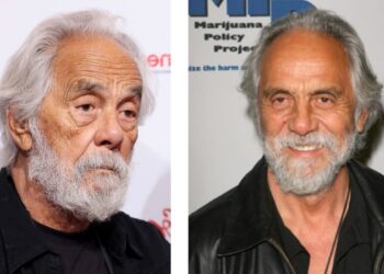 tommy chong net worth