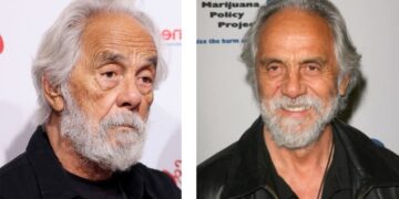 tommy chong net worth